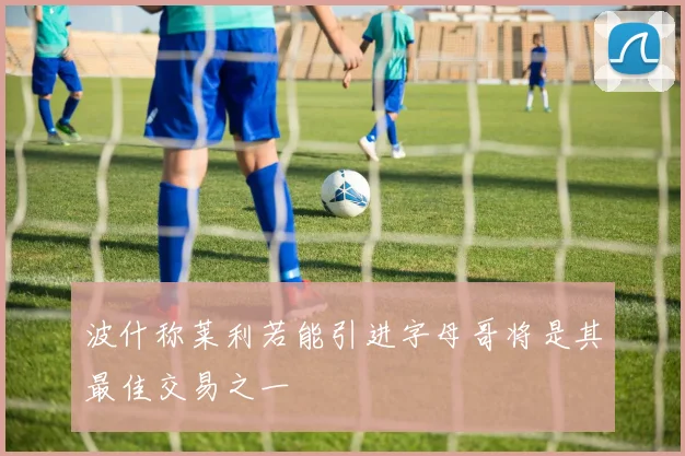 波什称莱利若能引进字母哥将是其最佳交易之一